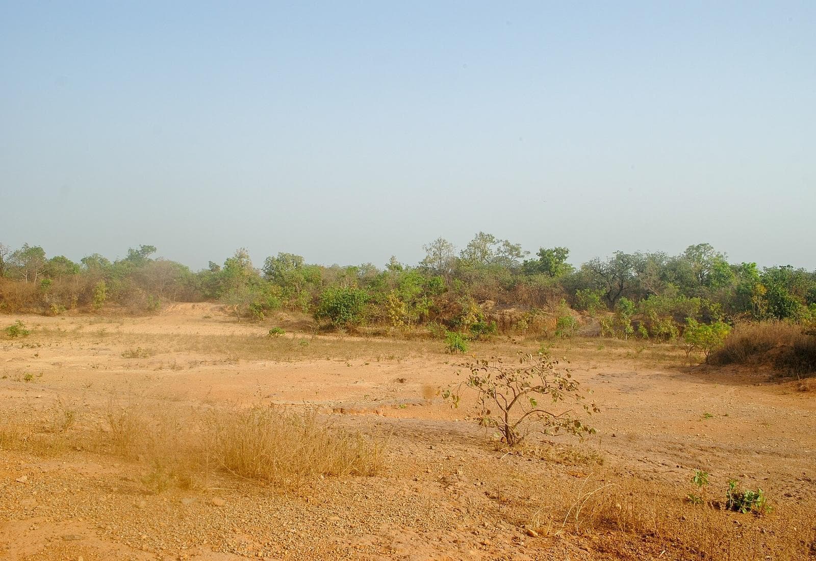 Serviced plot on the phase-two loop